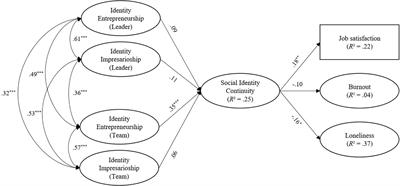 Identity Leadership, Social Identity Continuity, and Well-Being at Work During COVID-19